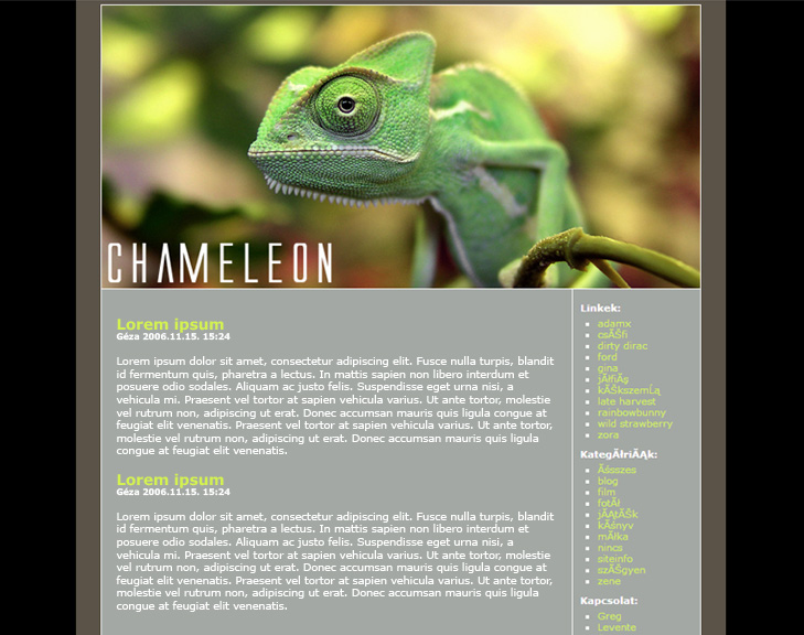 Chameleon Blog